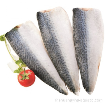 Fish Fish Pacific MacKerel Filet dans Pack Vaccinal